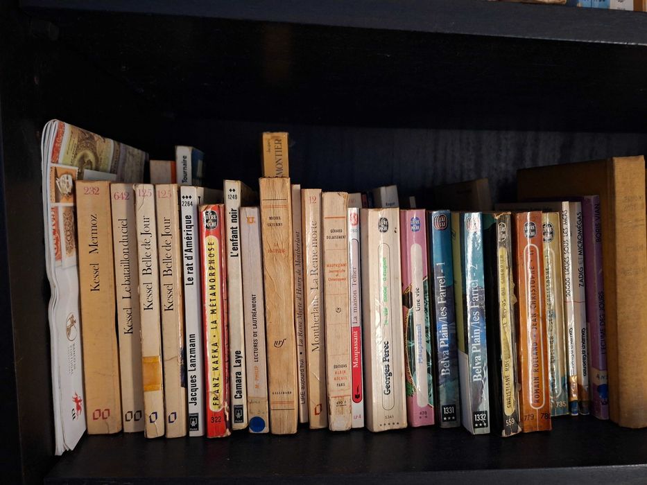 Livres de poche - Livros de bolso e outros de grandes autores franceses