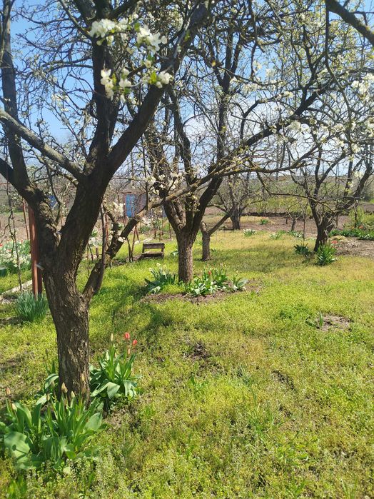 продам садовый дом