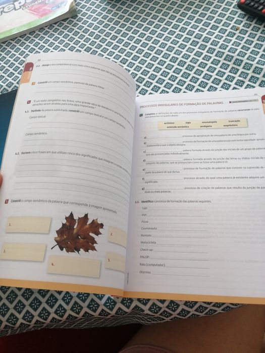 Manual Caminhos 11 + Caderno Atividades