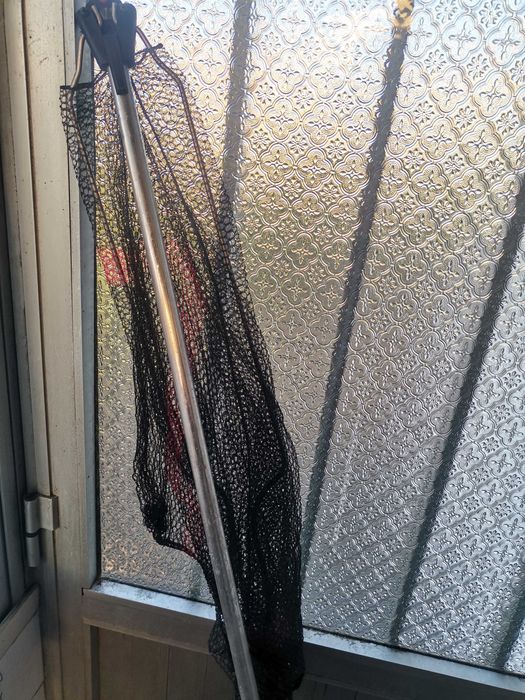 Xalavar/Ganapão/Camaroeiro com cabo telescópico extensível em fibra