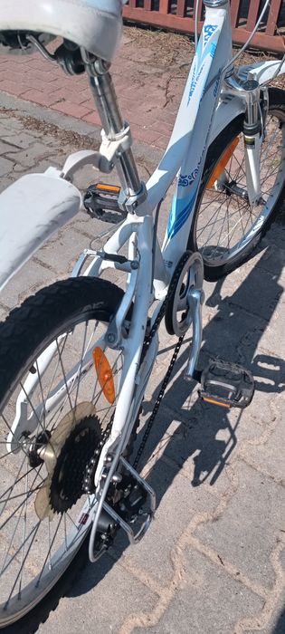 Rower Giant revel 20