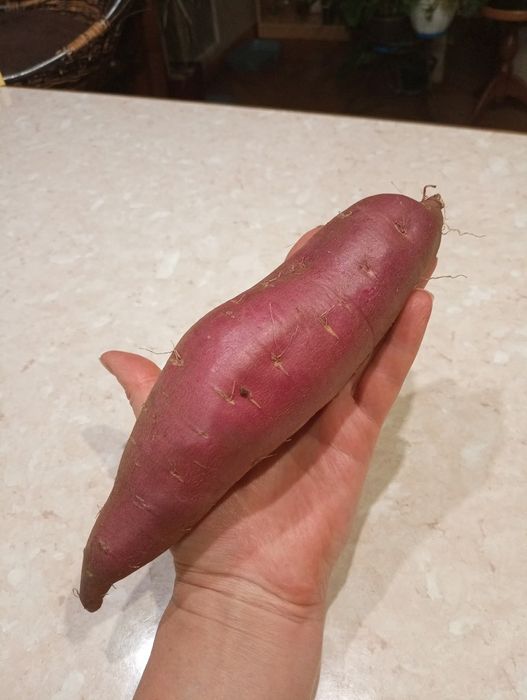 Батат. Солодка картопля