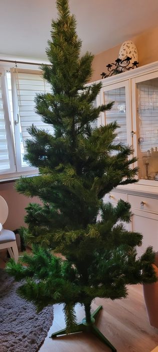 Choinka sosna 230 cm