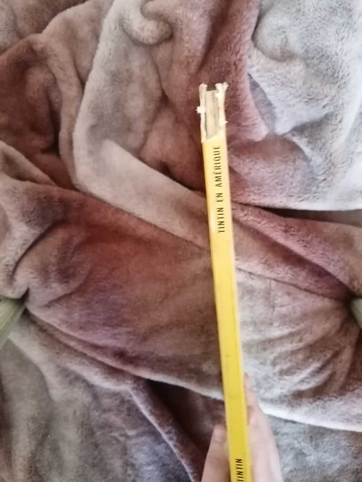 Tintin en Amérique 1966