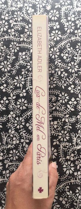 Lua-de-mel em Paris, Elizabeth Adler