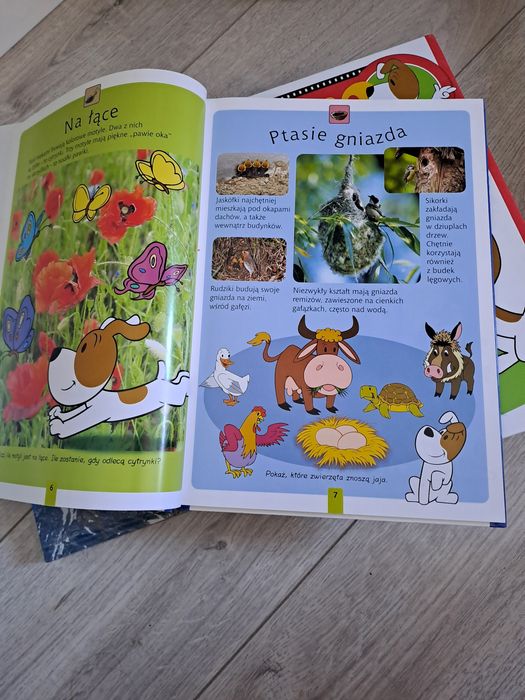 Reksio wielka ksiazka przygod