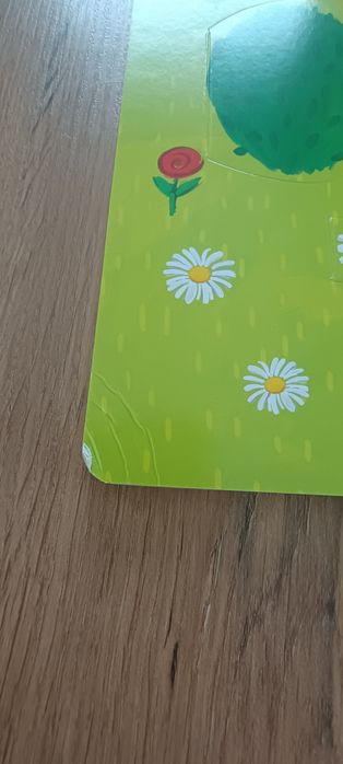 Kicia Kocia Kto mieszka w lesie?