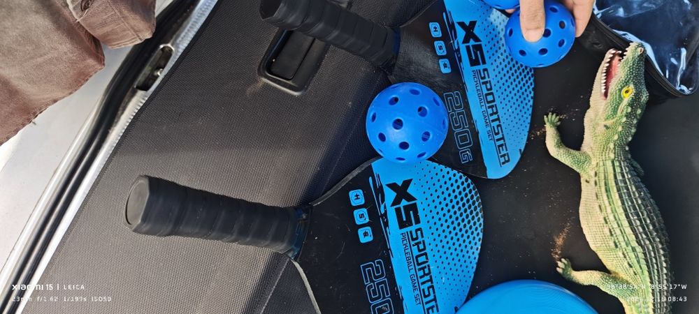 Raquete pickleball