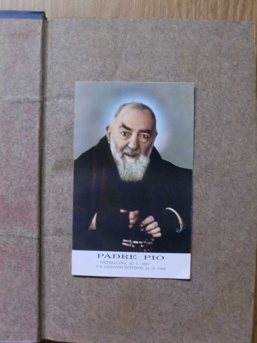 Pio IX, sua vida, sua história e seu Século de Villèfranche - 1877