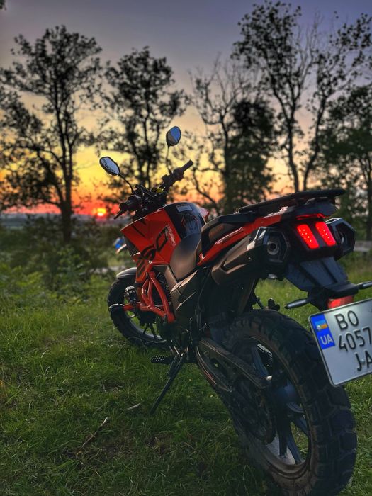 Tekken 250 r line 2025