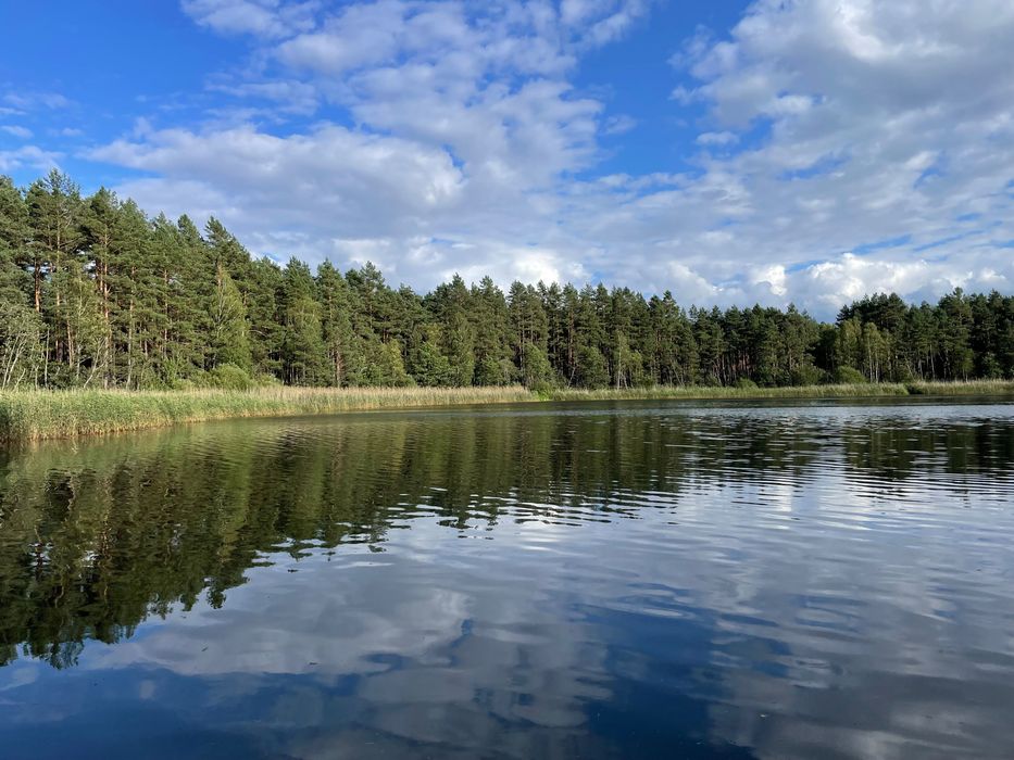 Domek na wynajem w lesie z jacuzzi – Tiny House Bory Tucholskie