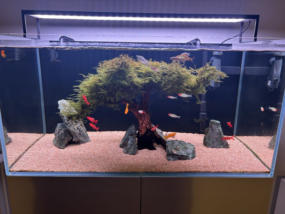 Aquário completo