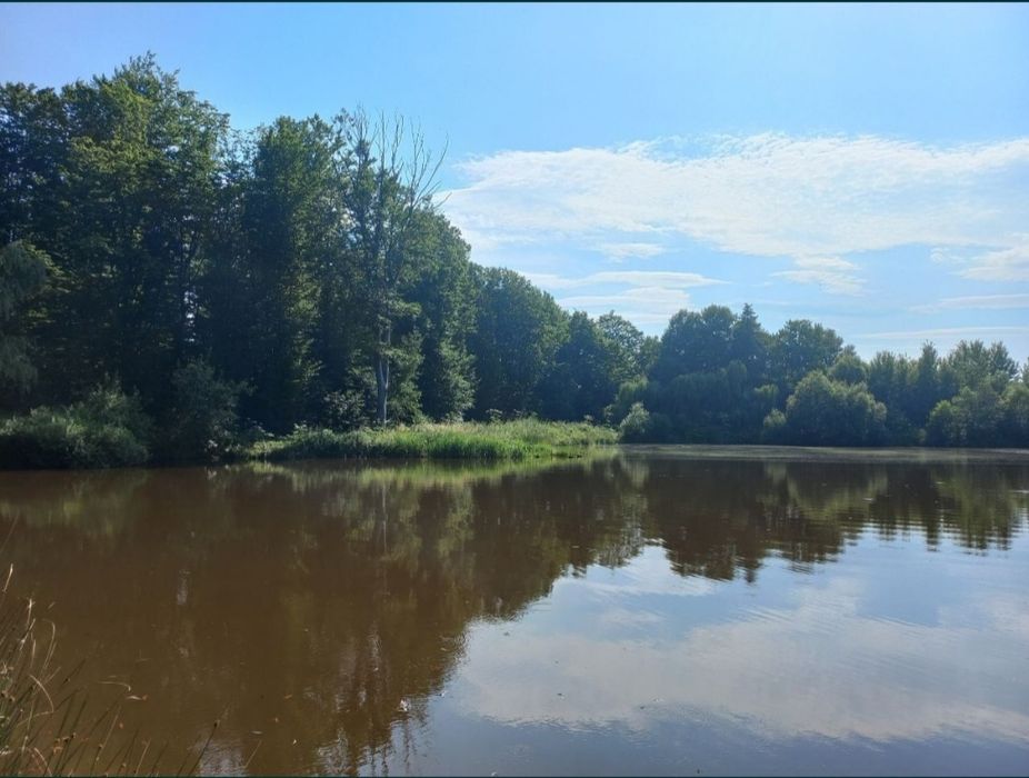 Став на приватній земельній ділянці