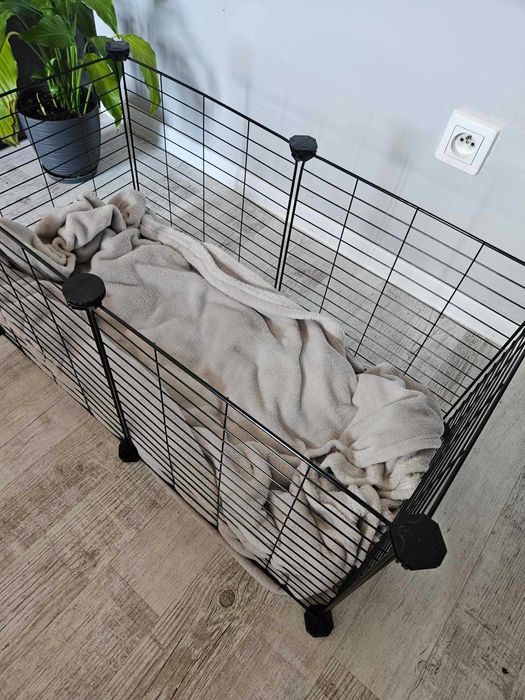 Klatka kojec wybieg dla świnki królika zwierząt modułowy