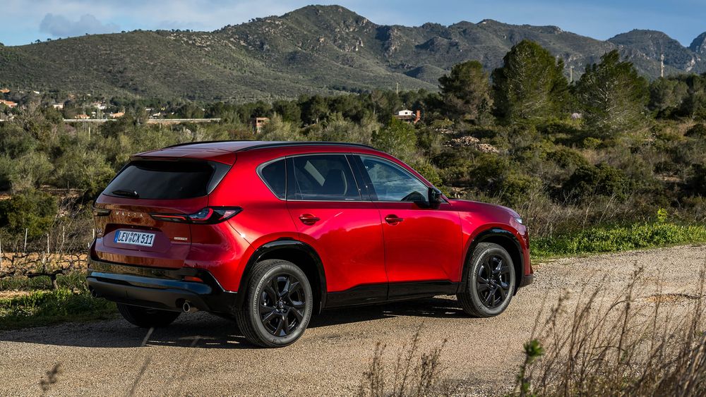 Zdjęcie w galerii numer 6