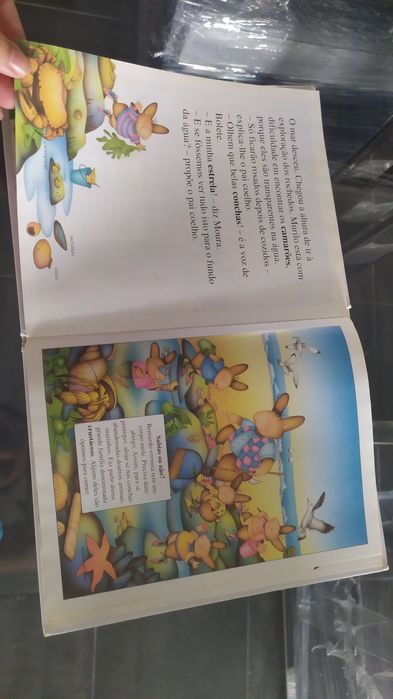 Livro os coelhinhos descobrem o mar