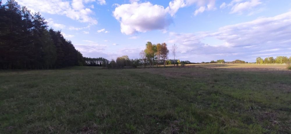 Działka 3001 m² z możliwością zabudowy w Piławie. - View 2