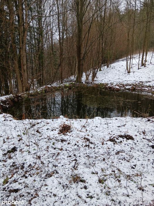 Dom w górach działka 1,2h