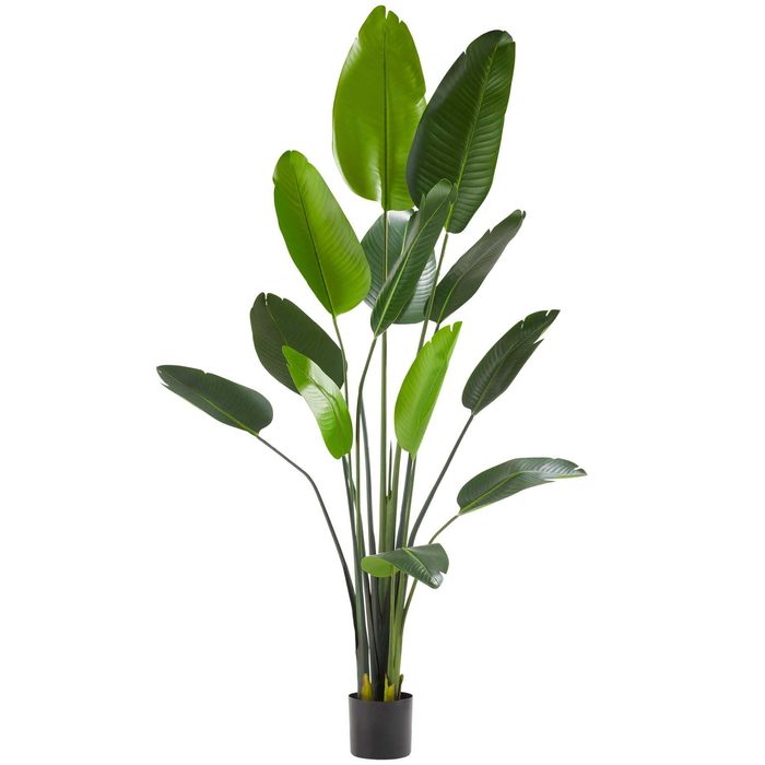 Sztuczne drzewko rajski ptak Tropic 180 cm OUTLET