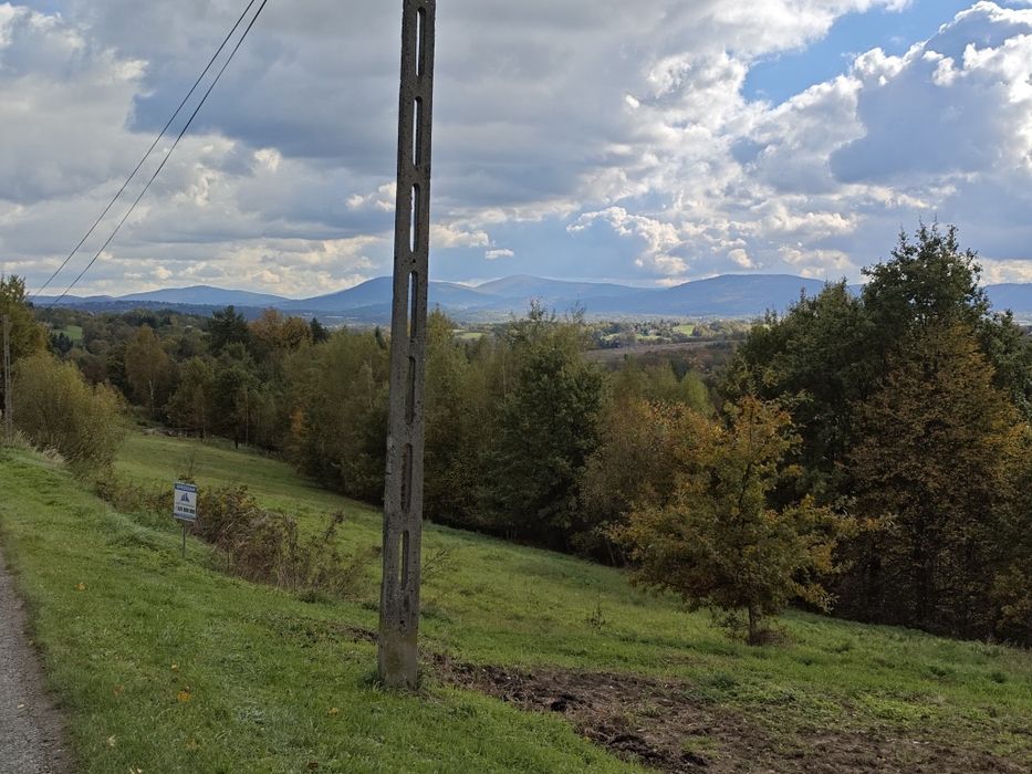 Widokowa działka 10 ar - Widok 5