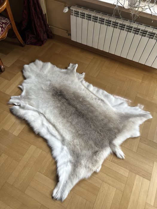 Skóra z renifera GIGANT XXXL (160x90) | Unikatowy biało-szary kolor