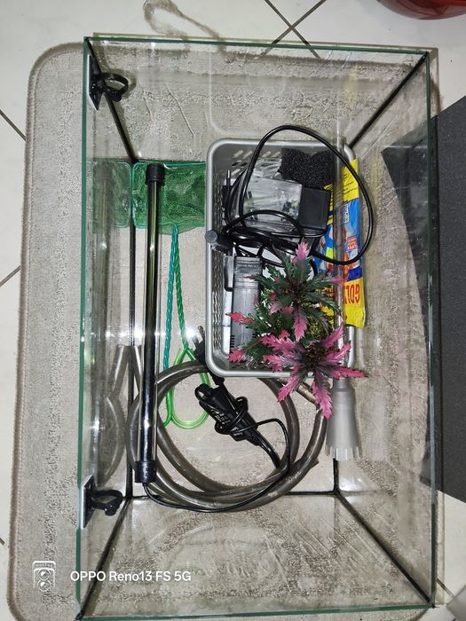 Akwarium z wyposażeniem