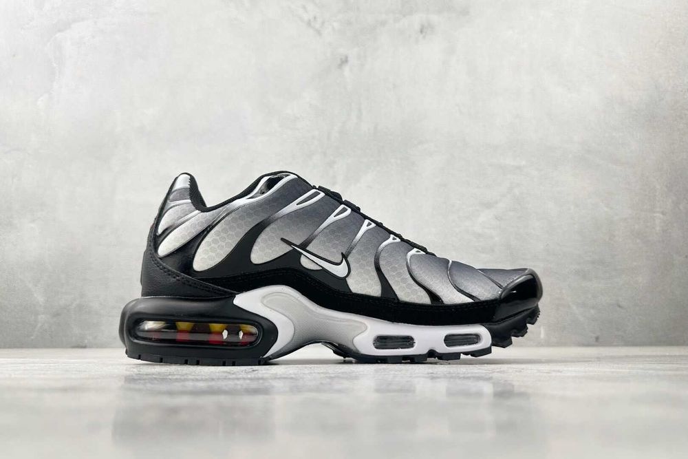 Air_Max_TN_Plus 41