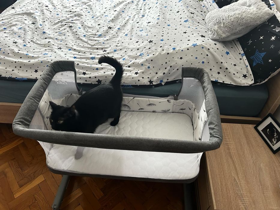 Łóżeczko dostawne, kołyska lionelo aurora