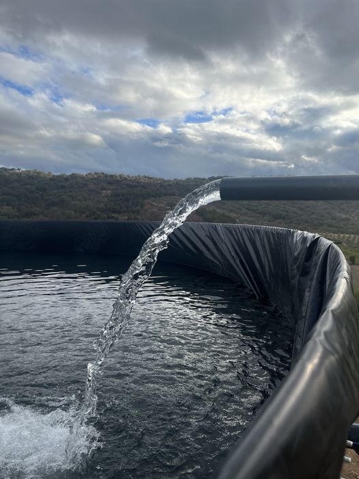 Quinta para venda 25ha