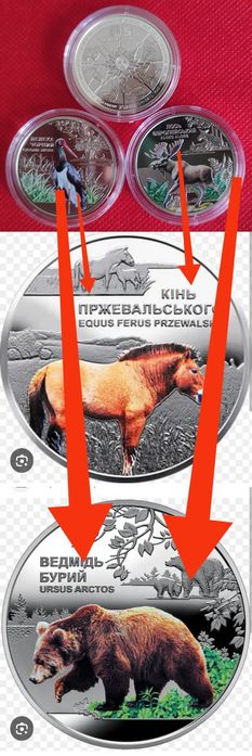 Обменяю монеты Украины.