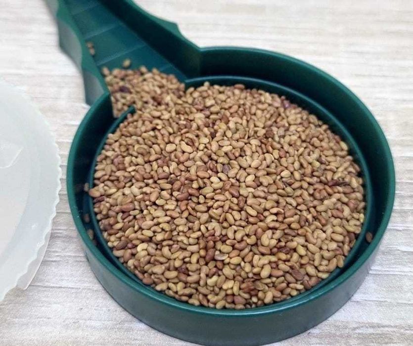 lucerna ziarno lucerny worki z lucerną sprzedam lucernę koniczyna WYKA