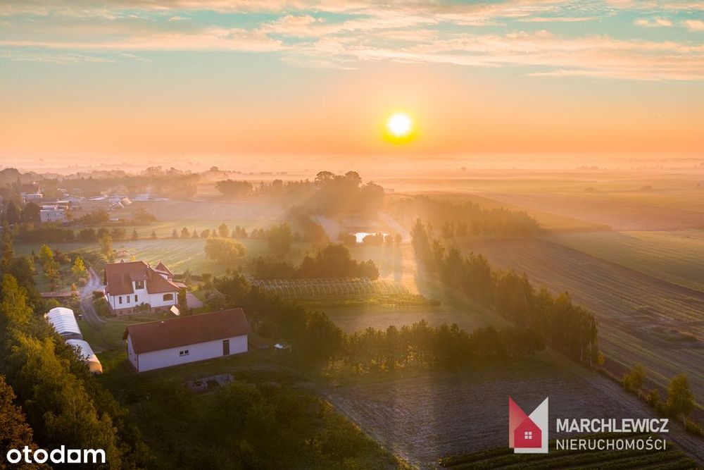 Urokliwa posiadłość ok.4ha | trasa Toruń-Bydgoszcz - Widok 3
