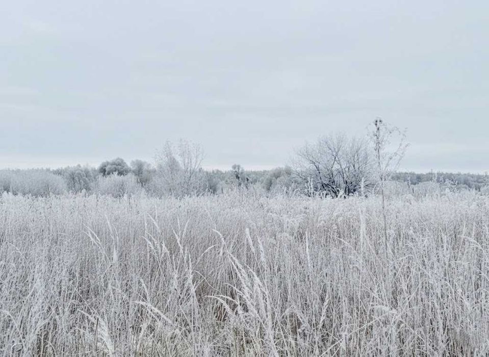 Продаж ділянки 164 сотки - ОСГ. Електрика - 1км. Біля річки. ID:758