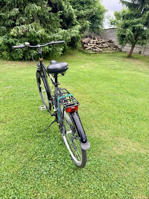 Rower trekkingowy Romet Wagant1