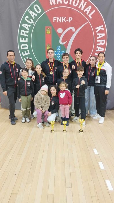 Suzuki rmz 450 injecao