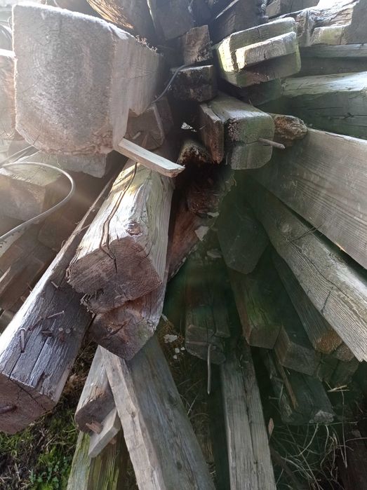 Stare belki drzewo konstrukcyjne Tanio