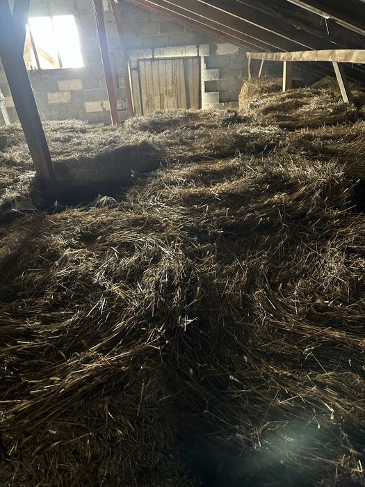 Słoma w belach 2025