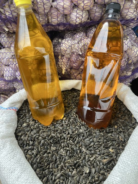 Насіння соняшнику Олійне