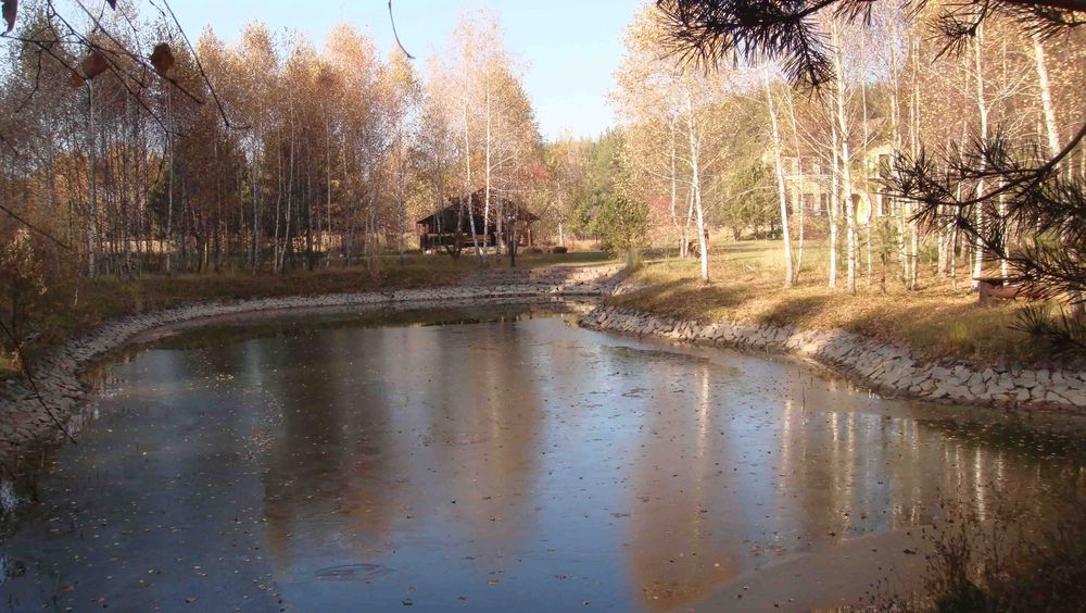 Оренда. Будинок в лісі. Здача від власника. Житомирський напрямок. 35 км від Київа