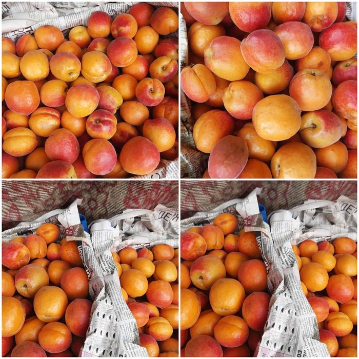 Продам сад с. Троицкое Беляевского р-на,Одесской обл.