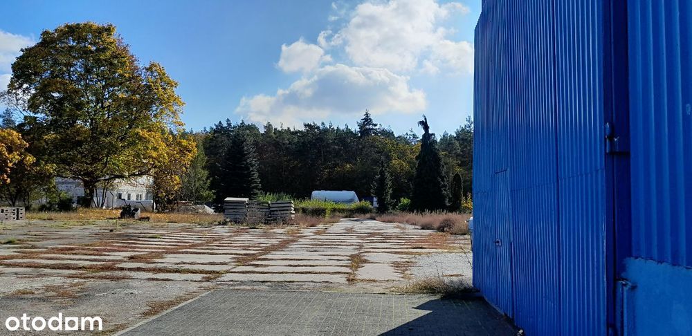 Wynajmę wysoka hala -  warsztat / magazyn. 480m2 + plac 5800m2