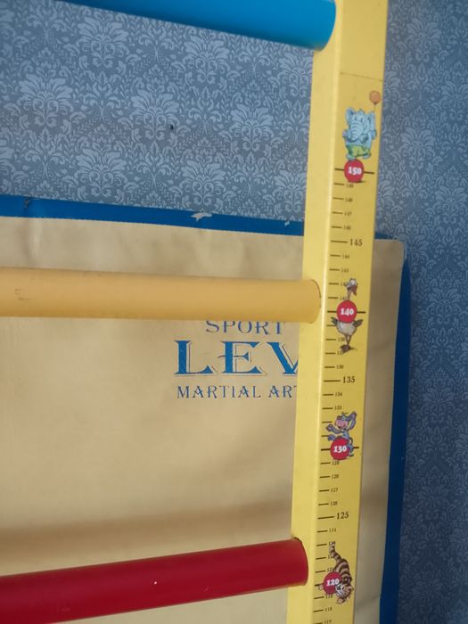 Шведська стінка Inter Atletika