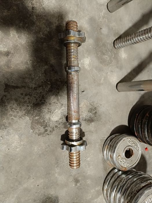 Halteres barras e discos