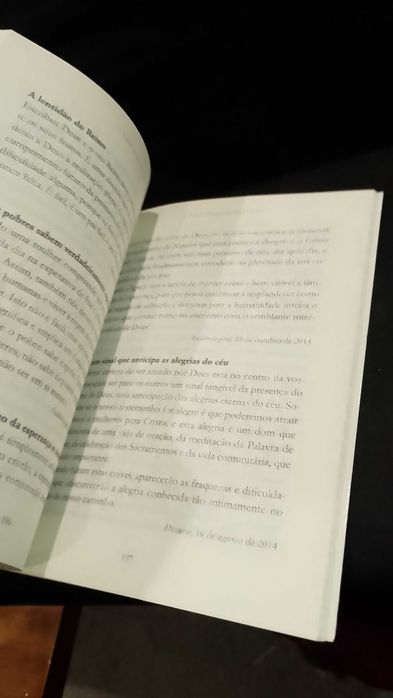 A Felicidade nesta Vida - Papa Francisco