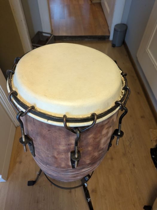 Conga 13 "x 65 cm wys.