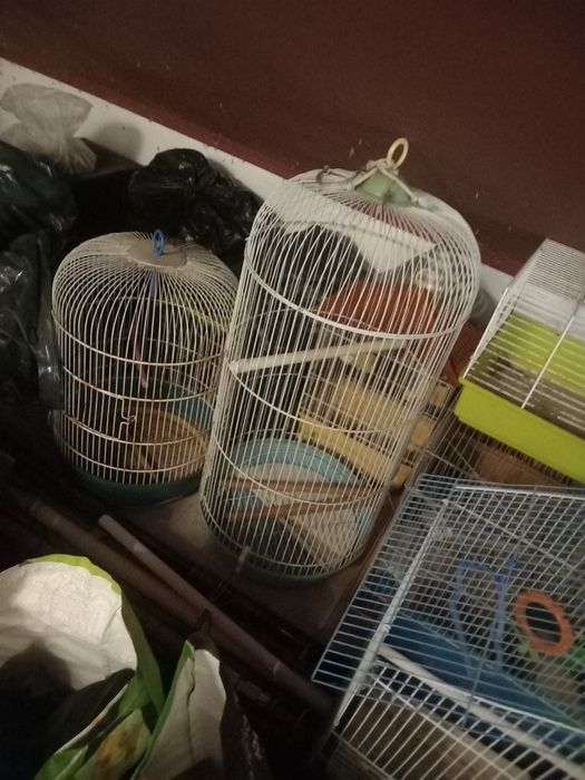 Acessorios Gatos + Gaiolas Aves