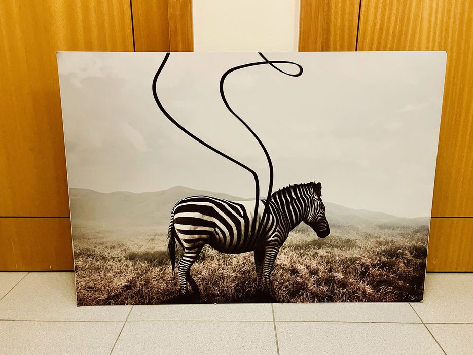 Zebra Metal Frame64740597814531120