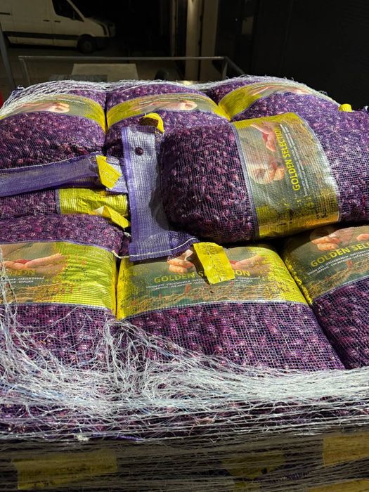 Цибуля червона, Red Baron10/21, тиканка, саджанка, арпаж TOP Голандія