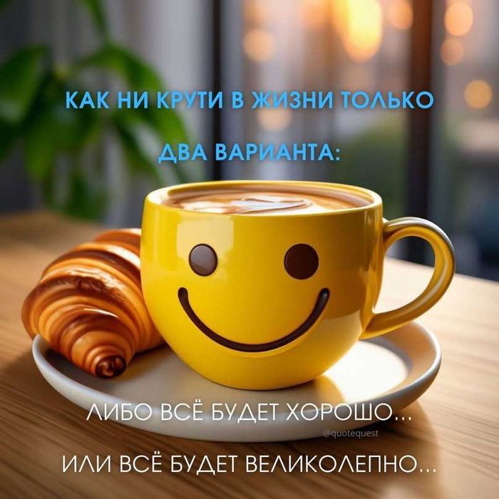 Свитер. Футболка, р. 50