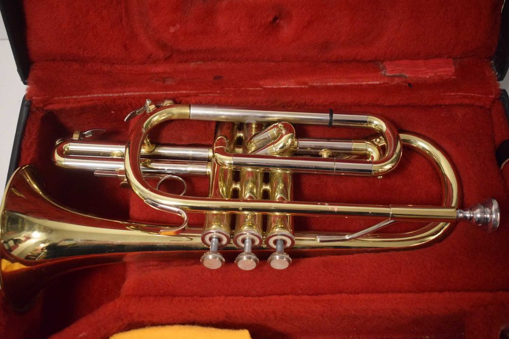 Corneta Blassing  com estoijo. N 13